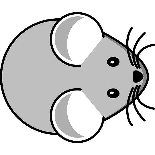 Raton